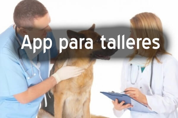 app para veterinarias, app para veterinario