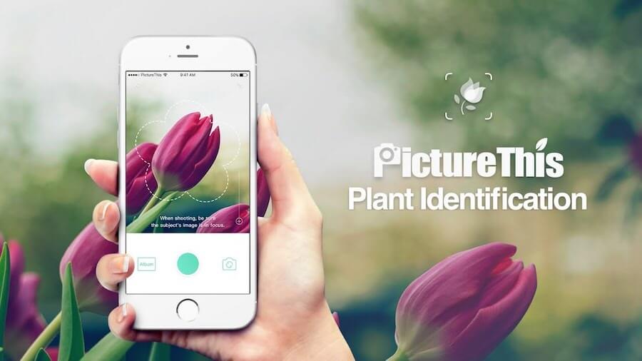 picturethis app